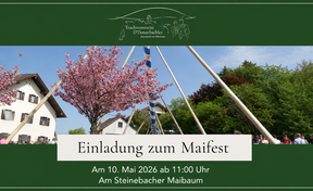 Maibaum mit blau-weißen Streifen wird von Menschen in Trachten vor blühendem Baum und Haus aufgestellt