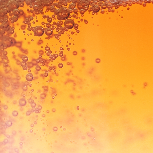 Nahaufnahme von einer Bier-Flüssigkeit.