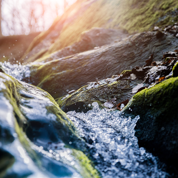 Nahaufnahme von einem Wasserlauf zwischen Felsbrocken.